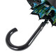 Парасолька-тростина жіноча Fulton Bloomsbury-2 L754-036600 Sunburst (Сонячні промені) картинка, зображення, фото