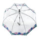 Зонт-трость женский Fulton Birdcage-2 L042 Moody Rose (Капризная Роза) фото
