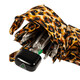 Міні парасолька жіноча Fulton L501 Tiny-2 Bling Leopard (Леопард с блестками) картинка, зображення, фото