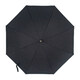 Парасолька-тростина Fulton Hampstead-1 L893 - Black (Чорний) картинка, зображення, фото