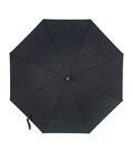 Парасолька-тростина Fulton Hampstead-1 L893 - Black (Чорний) картинка, зображення, фото