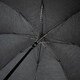 Парасолька-тростина Fulton Mayfair-1 G894 - Black (Чорний) картинка, зображення, фото