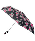 Зонт женский Incognito-4 L412 Floral Sprig (Цветочная ветка) фото, картинка, изображение