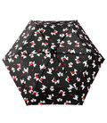 Зонт женский Incognito-4 L412 Scottish Scotties (Собаки) фото, картинка, изображение