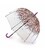 Зонт-трость женский Fulton L042 Birdcage-2 Hippie Scatter (Разноцветные незабудки) фото, картинка, изображение