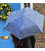 Парасолька жіноча Fulton L905-039533 Eco Planet - Beehive картинка, зображення, фото