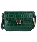 Сумка жіноча Ashwood C50 GREEN картинка, зображення, фото