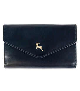 Кошелек женский Ashwood V62 Navy фото, картинка, изображение