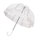 Зонт-трость женский Fulton L042 Birdcage-2 Wedding Floral Border (Цветочная кайма) фото