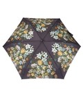 Парасолька жіноча Fulton L794-085297 National Gallery Tiny-2 Bosschaert картинка, зображення, фото