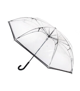 Парасолька жіноча Fulton L911 Invertor Clear (Прозора) картинка, зображення, фото