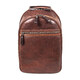 Рюкзак мужской Ashwood 4555 Brown фото