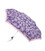 Зонт женский Fulton L926 Curio-2 UV Sketchy Rose (Эскиз розы) фото, картинка, изображение