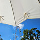 Зонт женский Fulton L908-039595 Kensington UV Star Cream фото