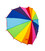 Парасолька дитяча Fulton C932-041024 Heart Junior Rainbow Heart (Райдужне серце) картинка, зображення, фото