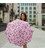 Парасолька жіноча Fulton L354-041161 Minilite-2 Pink Floral (Рожеві квіти) картинка, зображення, фото