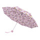 Зонт женский Fulton L354-041161 Minilite-2 Pink Floral (Розовые цветы) фото