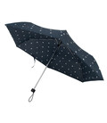 Зонт женский Fulton L553-041246 Superslim-2 Polka Dot (Горох) фото, картинка, изображение