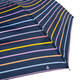 Парасолька жіноча Fulton L553-041253 Superslim-2 Rainbow Pinstripes (Різнокольорові полоси) картинка, зображення, фото