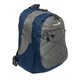 Рюкзак текстильний Borderline JBBP194L (Navy/Grey) картинка, зображення, фото