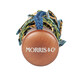 Парасолька жіноча Fulton L907-040669 Morris & Co. Minilite-2 UV Strawberry Thief (Полуничний злодій) картинка, зображення, фото