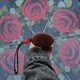 Парасолька жіноча Fulton L501-041635 Huge Rose (Велика троянда) картинка, зображення, фото