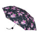 Парасолька жіноча Fulton L354-041666 Minilite-2 Delicate Floral (Ніжні квіти) картинка, зображення, фото