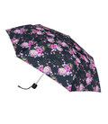 Зонт женский Fulton L354-041666 Minilite-2 Delicate Floral (Нежные цветы) фото, картинка, изображение
