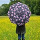 Парасолька жіноча Fulton L354-041666 Minilite-2 Delicate Floral (Ніжні квіти) картинка, зображення, фото
