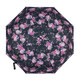 Парасолька жіноча Fulton L354-041666 Minilite-2 Delicate Floral (Ніжні квіти) картинка, зображення, фото