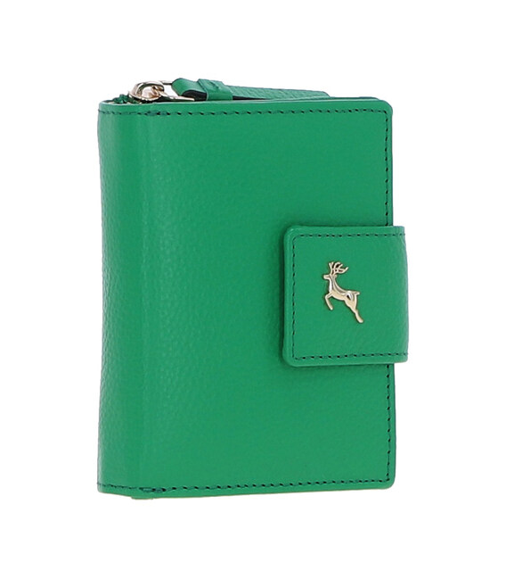 Гаманець жіночий Ashwood X30 (Green) картинка, зображення, фото