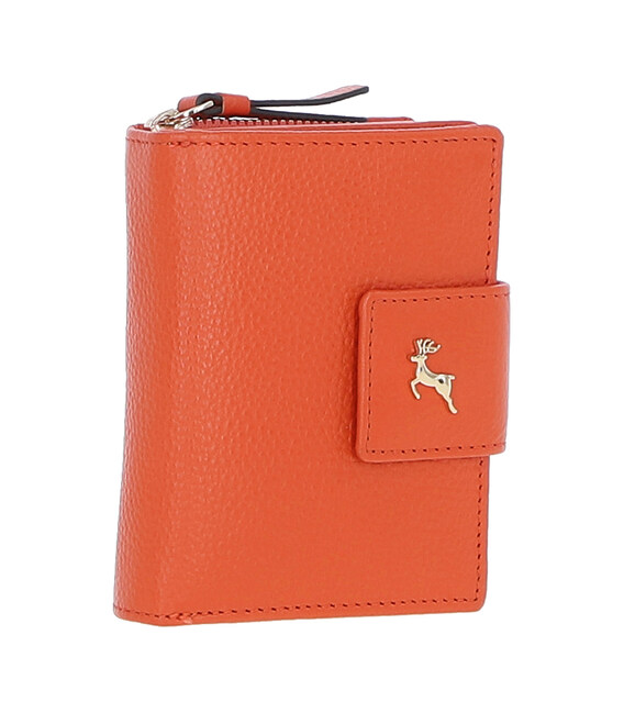 Гаманець жіночий Ashwood X30 (Orange) картинка, зображення, фото