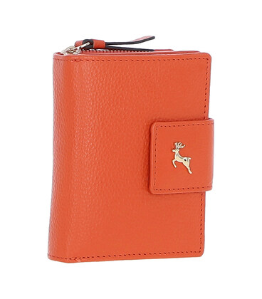Гаманець жіночий Ashwood X30 (Orange) картинка, зображення, фото