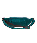 Сумка на пояс Ashwood D102 (Teal) фото, картинка, изображение