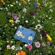 Жіночий шкіряний гаманець Yoshi Y1321 Bee Happy (Blue) картинка, зображення, фото