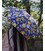 Жіноча міні парасолька Fulton L501 Tiny-2 Bumble Bee Floral (Квіти та джмелі) картинка, зображення, фото