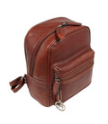 Рюкзак женский Ashwood T87 Chestnut (Каштановый) фото, картинка, изображение