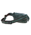 Сумка на пояс Ashwood D102 (Green) фото, картинка, изображение