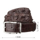 Ремень мужской CROCODILE LEATHER 18178 из натуральной кожи крокодила Коричневый фото