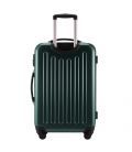 Валіза Alex велика L темно-зелена картинка, зображення, фото