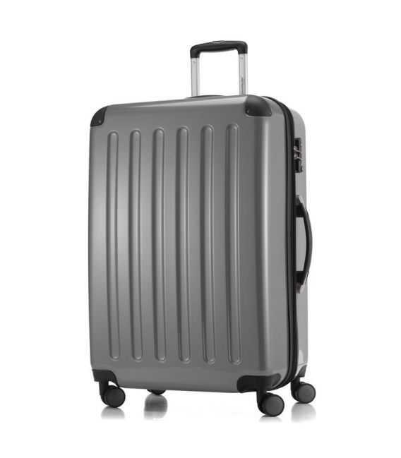 Валіза Alex велика L срібна - картинка, зображення, фото валізи