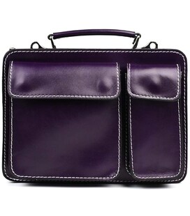Жіночий шкіряний портфель Firenze FR7007P сливовий