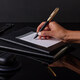 Набор Parker PARKER 51 Deluxe Black GT FP18 F (перьевая ручка + кож.чехол) фото