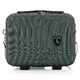 Бьюти-кейс Semi Line 12L Green (T5986-1) фото