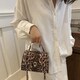 Стильное кроссбоди эко-кожа лео Lilly P1-369-9075LB фото