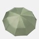 Автоматический зонт Monsen C1GD23002g-green фото