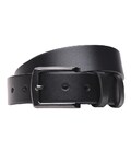 Чоловічий шкіряний ремінь Borsa Leather 115v1gen45