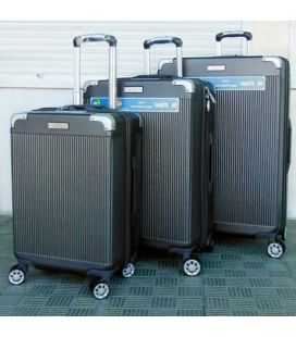 Набір валіз Airtex 225 срібний картинка, зображення, фото