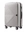 Чемодан Wings PP06 средний M серебристый фото, картинка, изображение