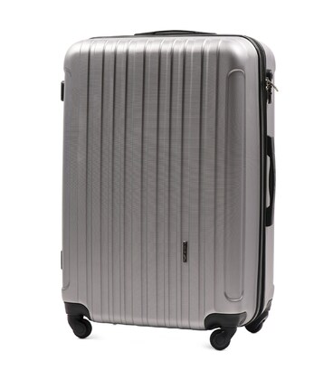 Валіза Wings 2011 велика L срібна картинка, зображення, фото